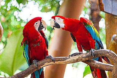 《It was a human》Steam页面上线 SF奇幻解谜ADV